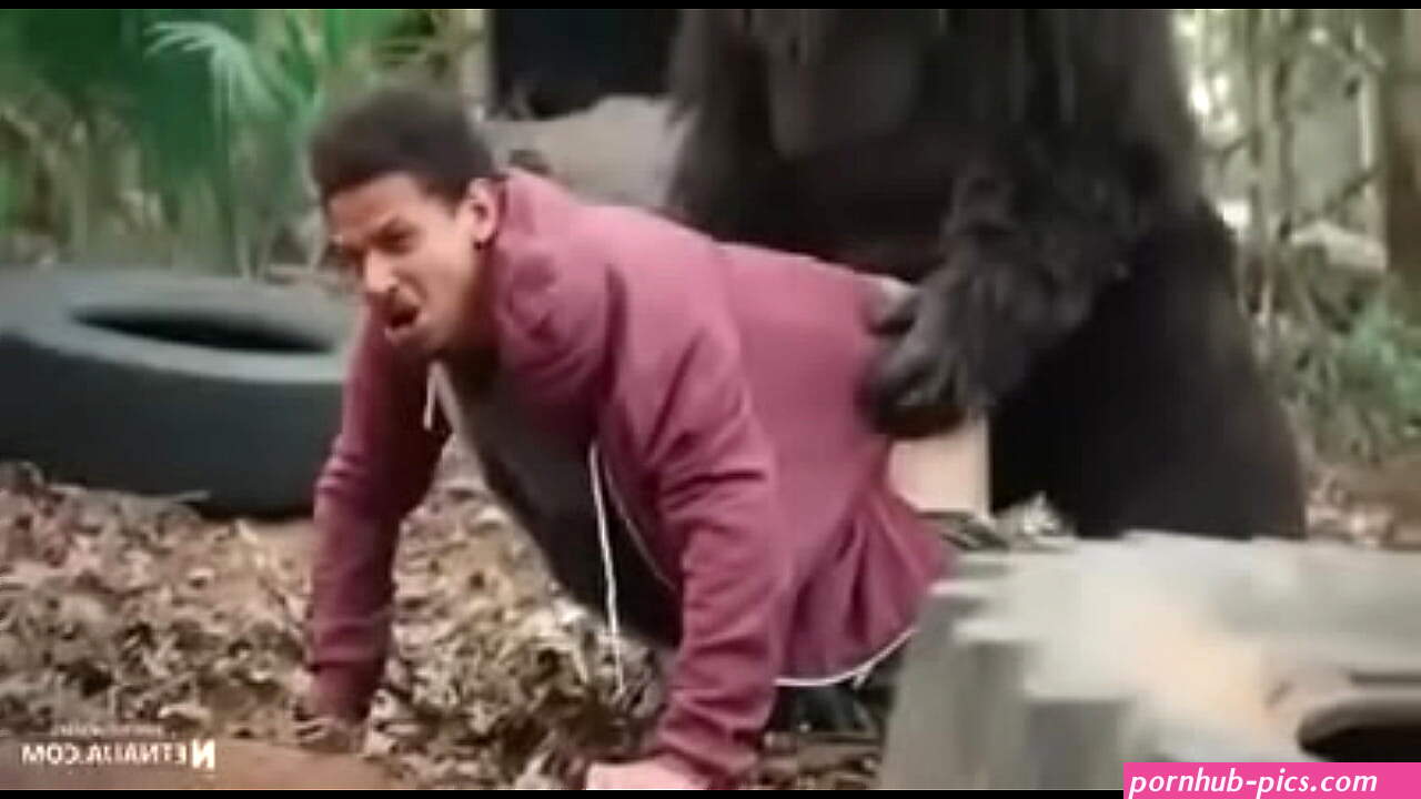 big monkey fucks fat guy porn videos for free on