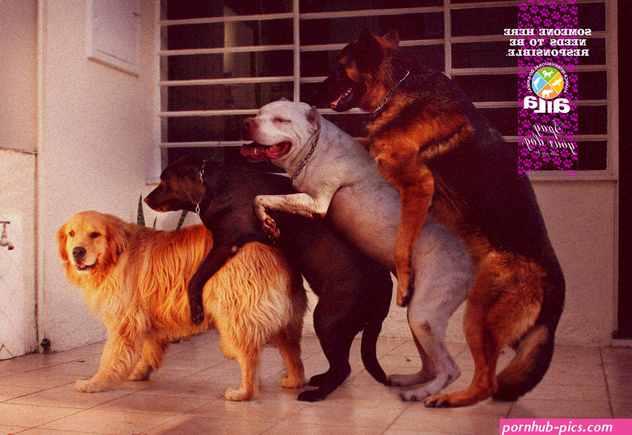 Aila: Dog XXX Ads of the World