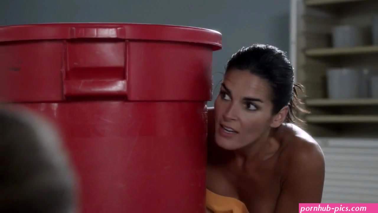 Angie Harmon Nude Covered Rizzoli and Isles