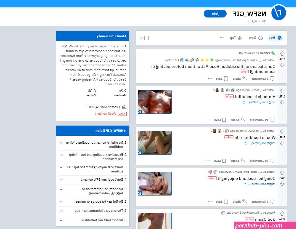 rNSFWGIF Review