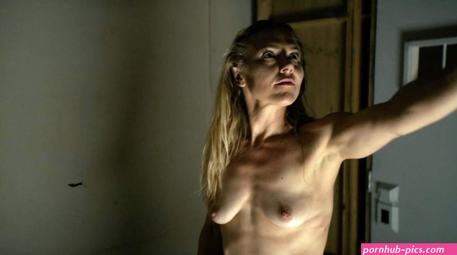 Dominique swain nude
