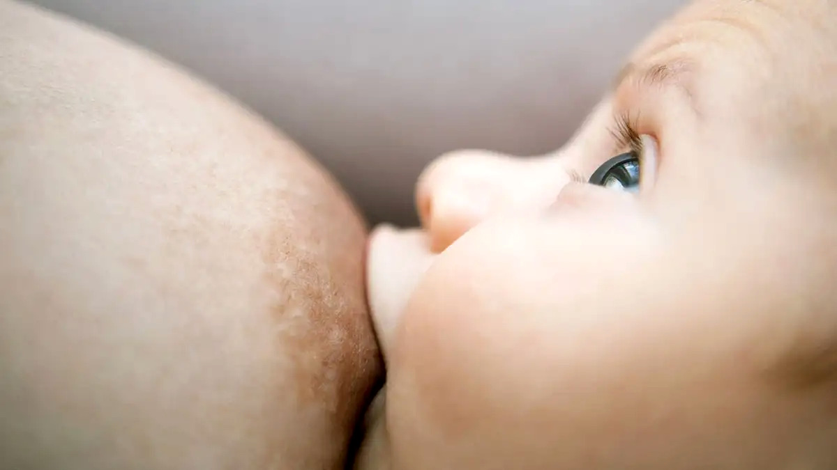 Your boobs start to eat themselves after breastfeeding is over