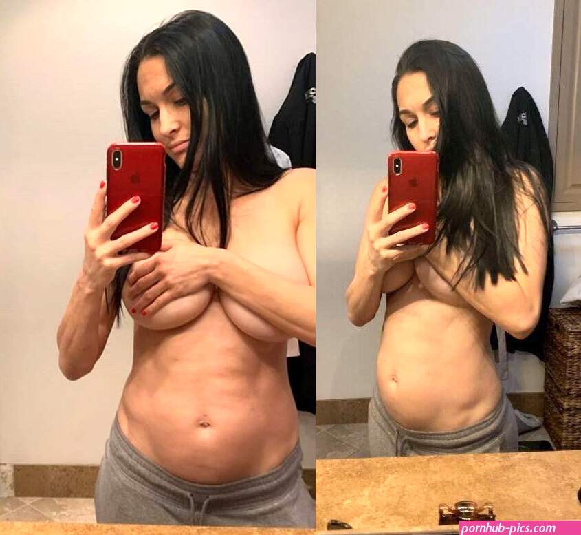 Nikki Bella Nude Selfie During Pregnancy 4 Hot Selfies