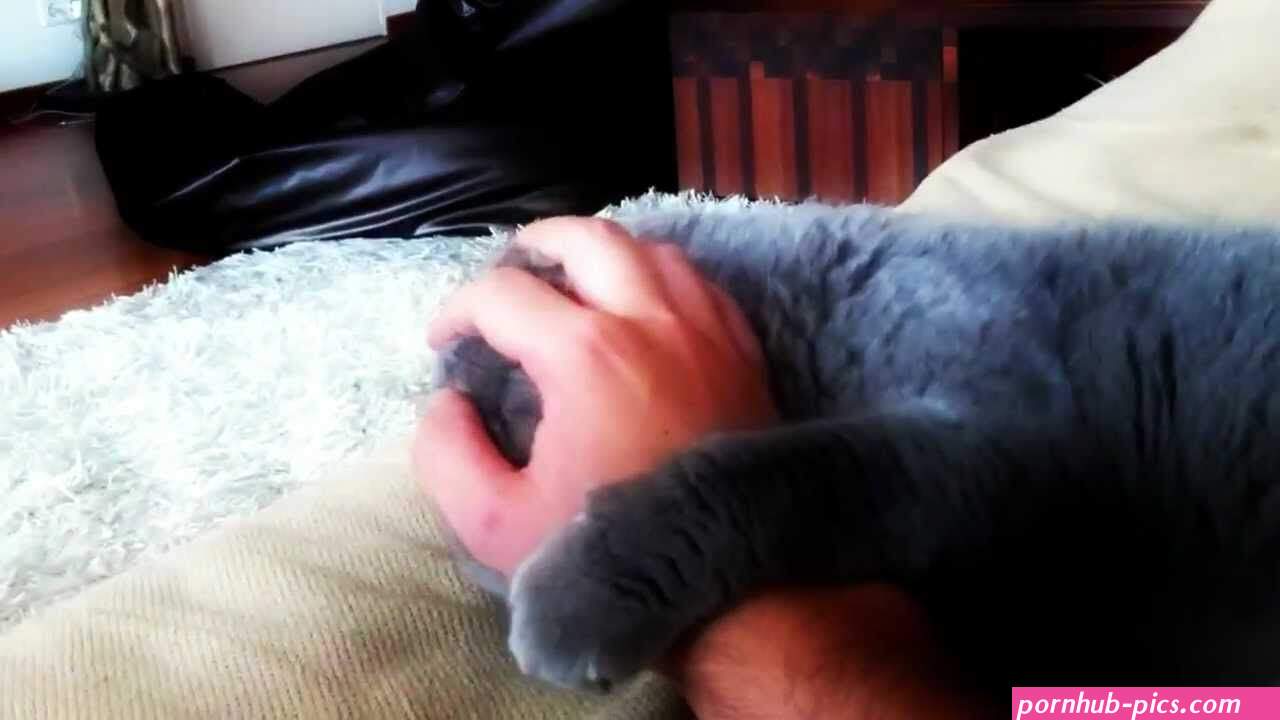 Will cats lick pussy. Porn pic.