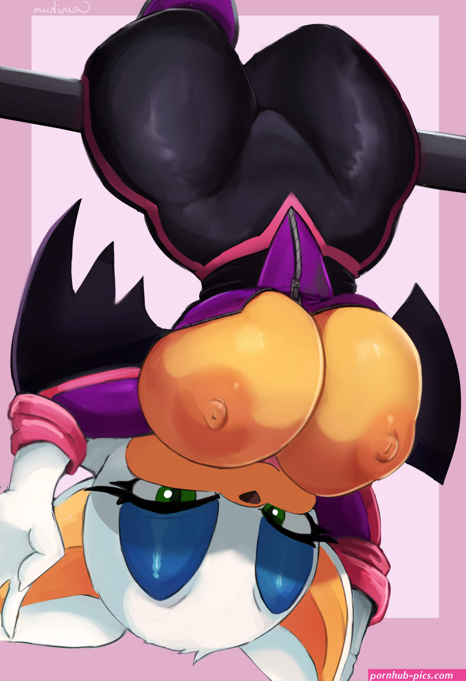Post 5334402: Cranihum Netflix RougetheBat SonicPrime SonictheHedgehogseries