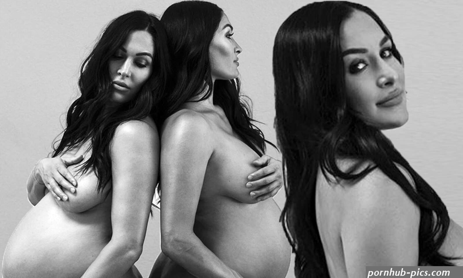 Brie and Nikki Bella go completely nude in maternity photos