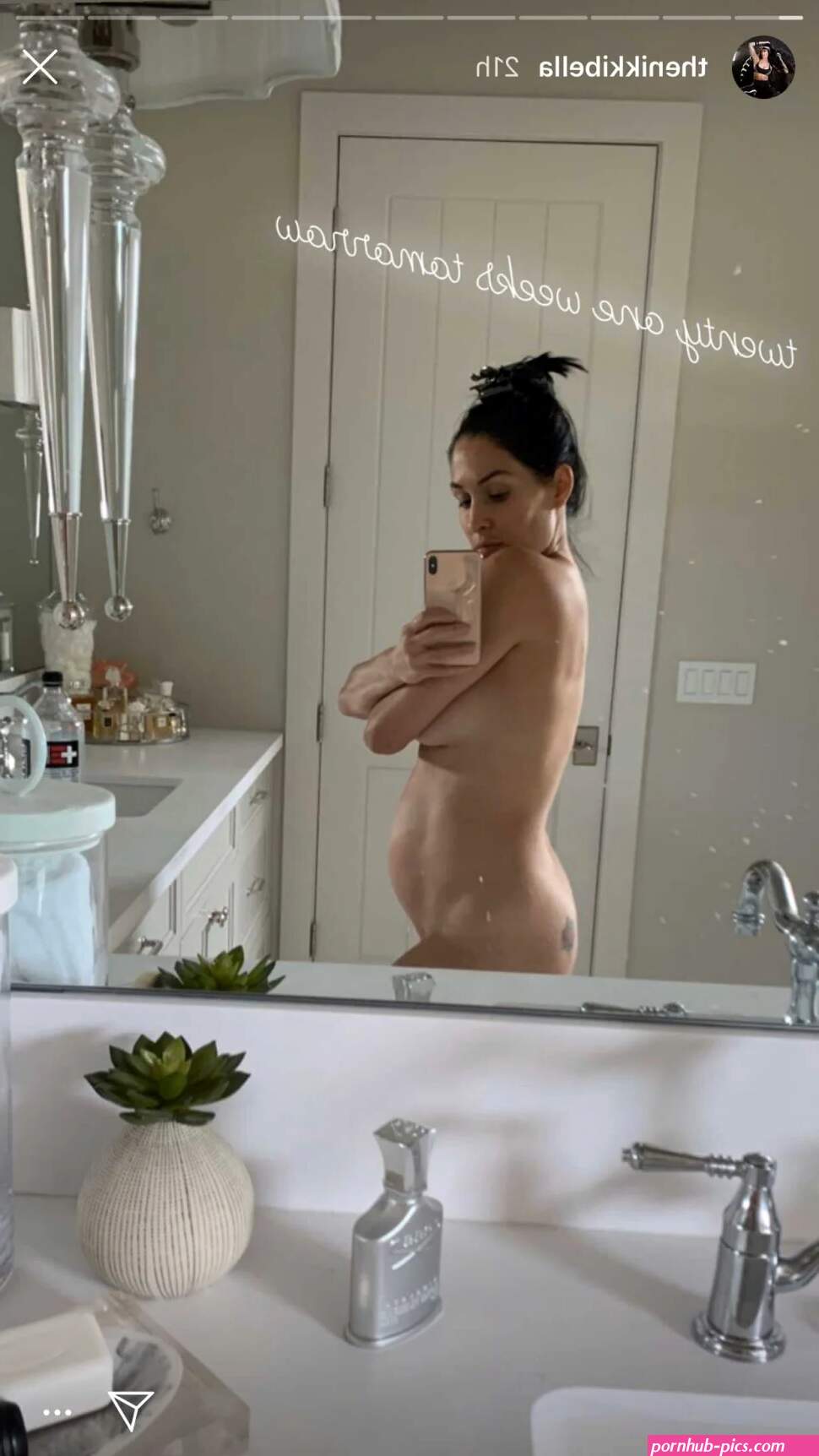 Nikki Bella Shares Nude Baby Bump Selfie at 21 Weeks Pregnant: Is It Too Much?