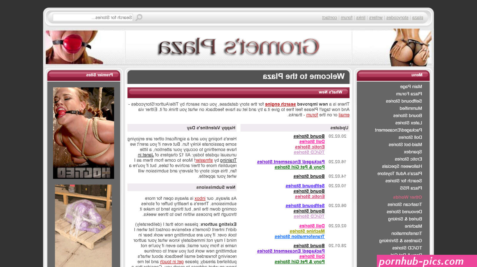 Gromets Plaza Online Sex Stories