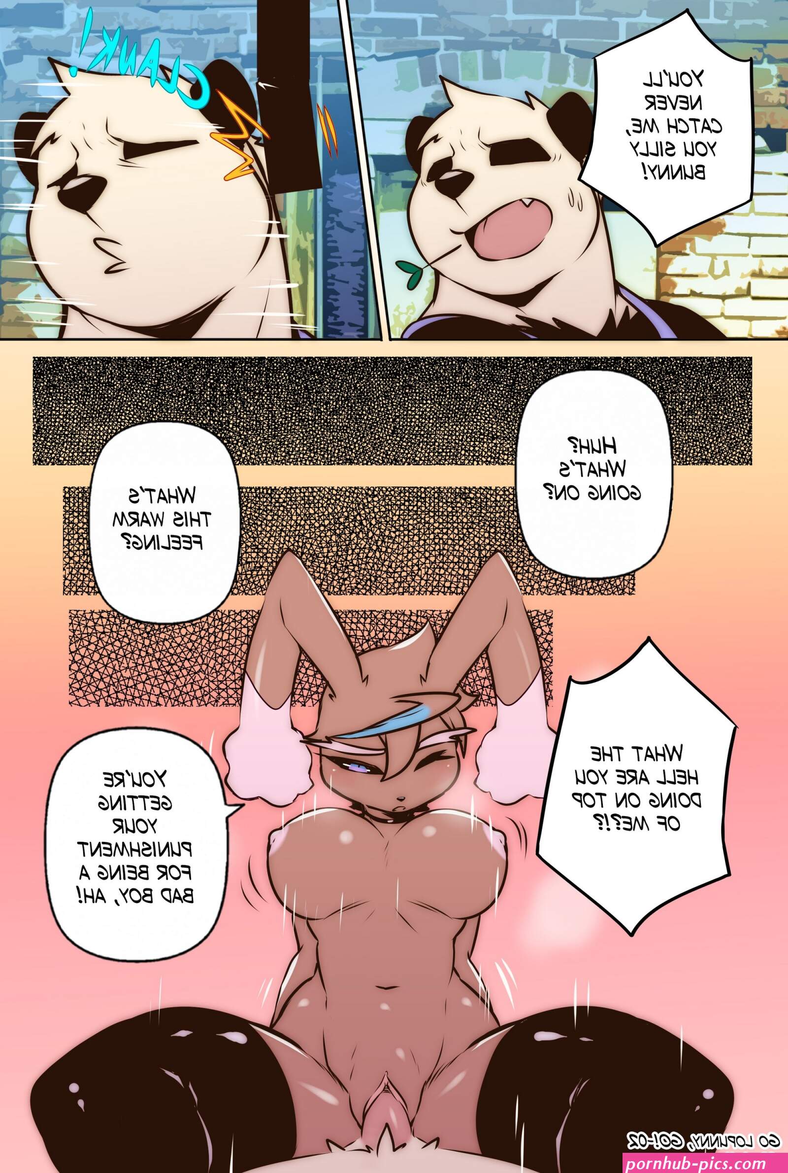 Go Lopunny Go