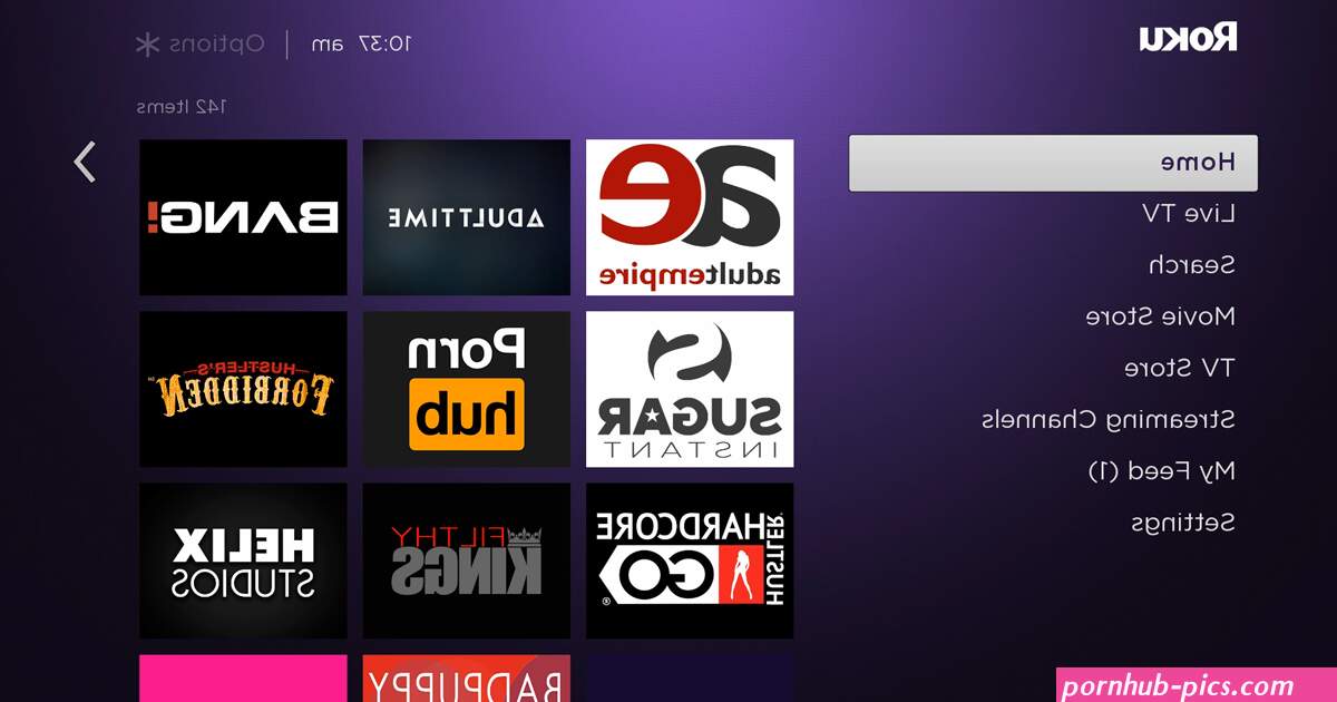 Roku to Remove All Private Channels Including Adult Roku Channels