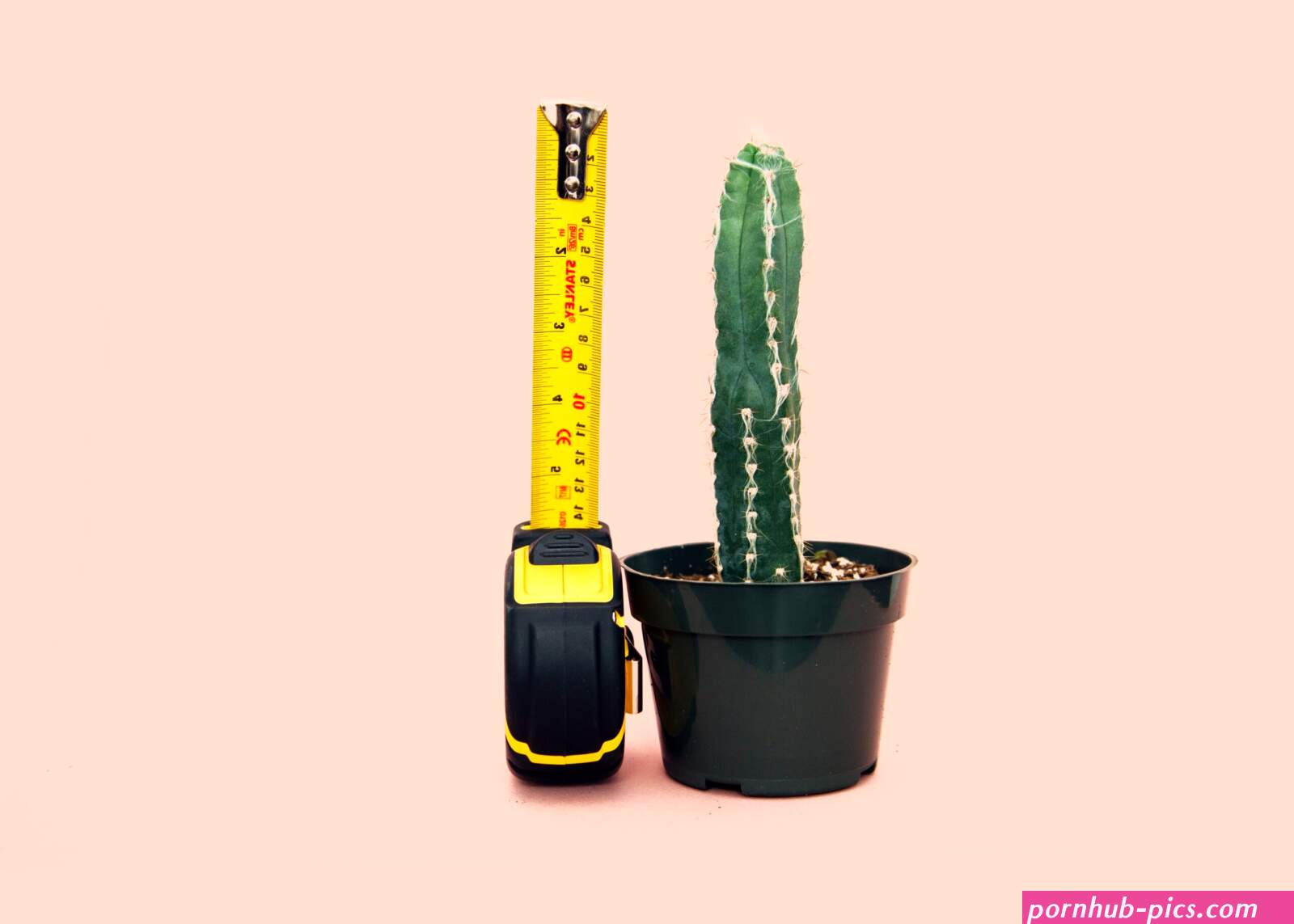 Why many penis size studies use stretched flaccid length instead of erect