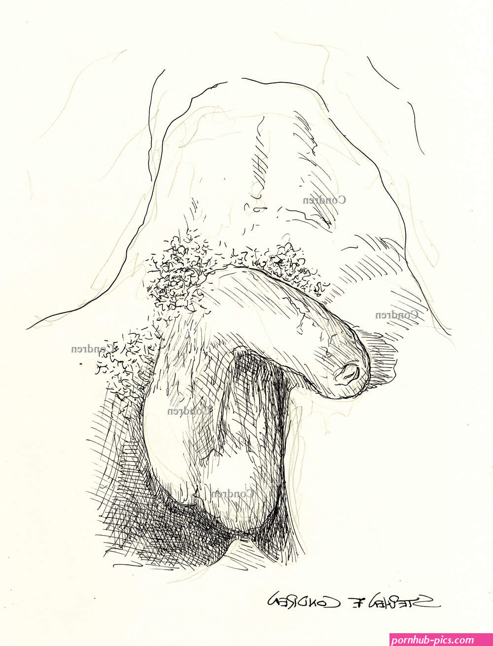 Flaccid Art Pen Ink Drawings And Watercolors