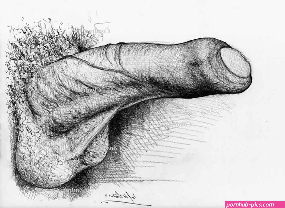 Gay Penis Art Sex Drawings Prints And Scans Page 2 of 2 Condren Galleries