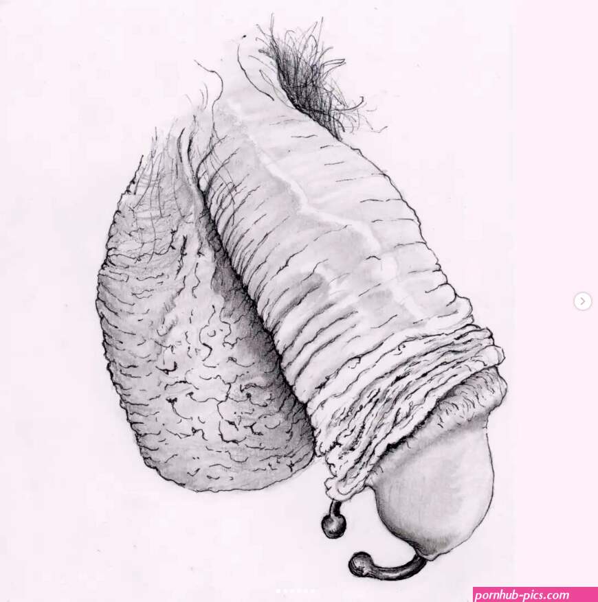 Penis Drawing by xxpanboixx on DeviantArt