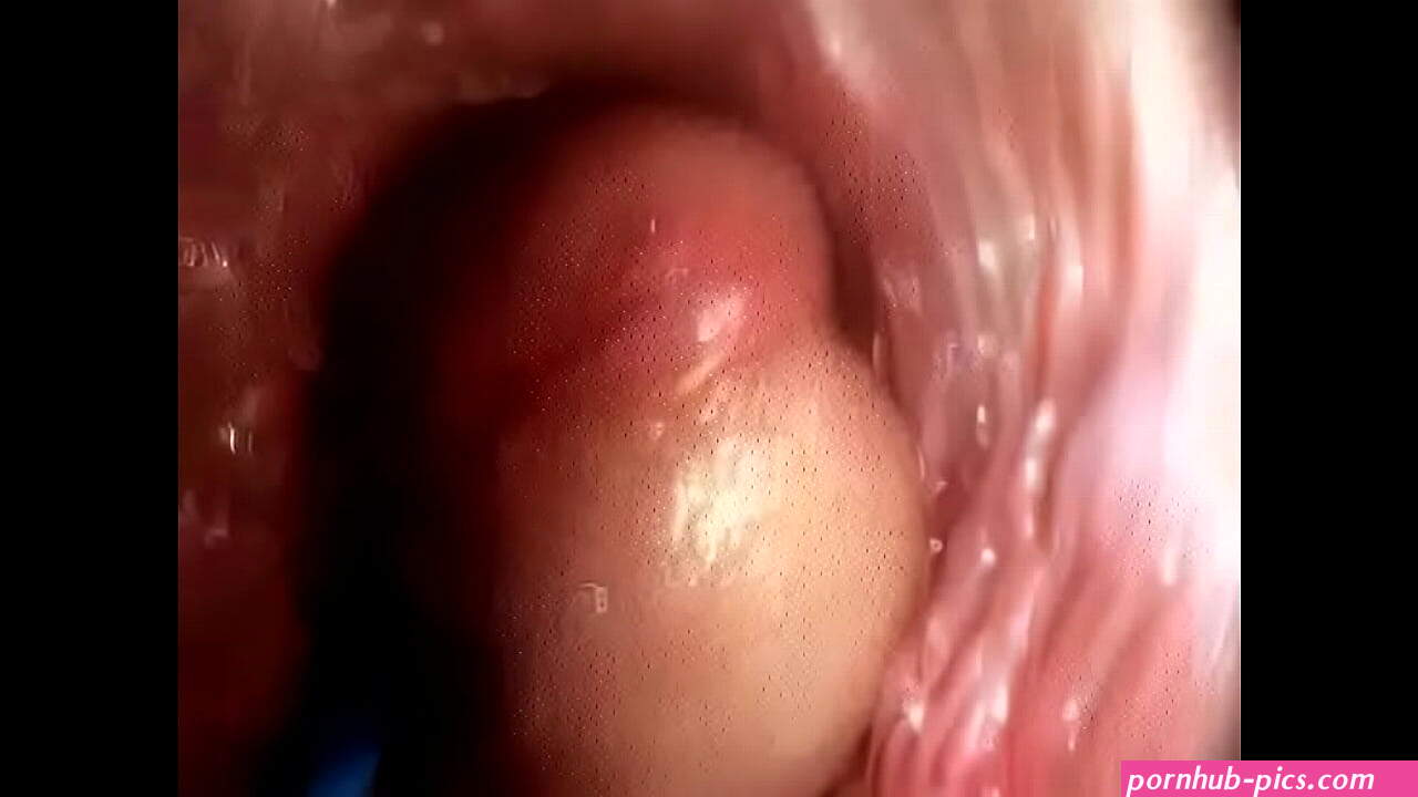 Sex guide See a Penis inside the Vagina