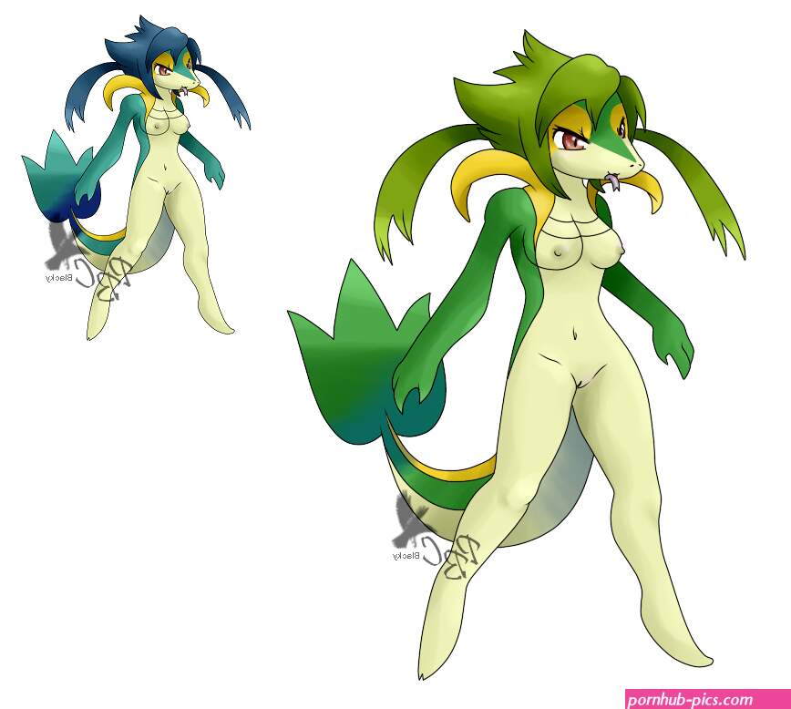 Riolu And Snivy Porn
