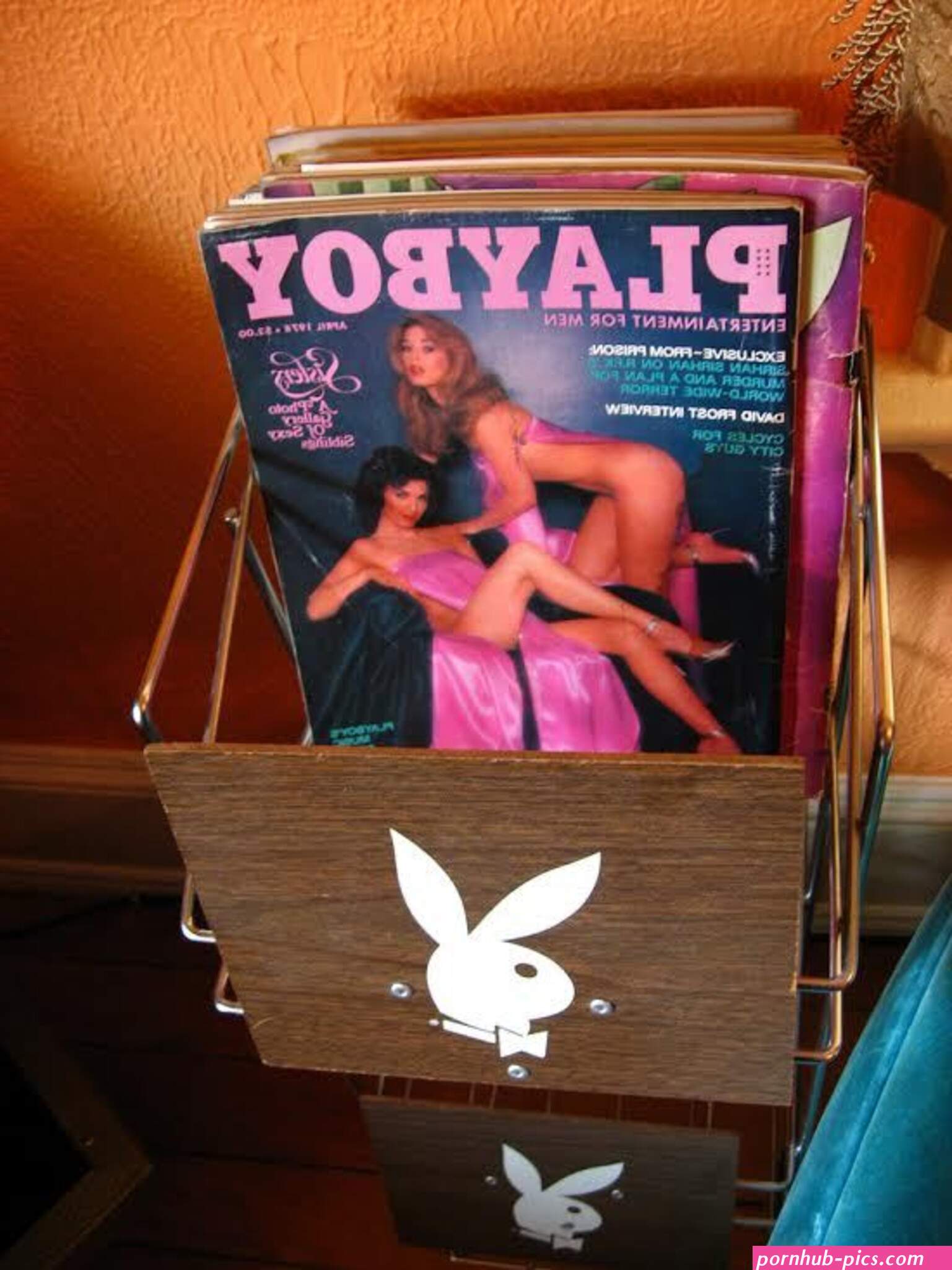 Sonja Kirchberger nackt im Playboy
