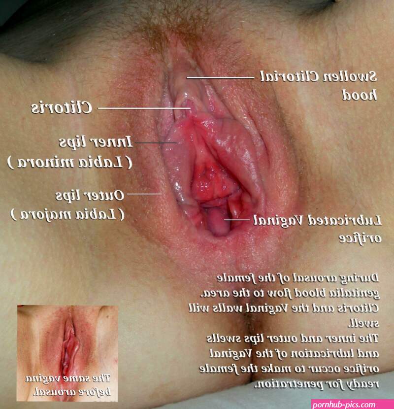 File:Aroused Vagina.png
