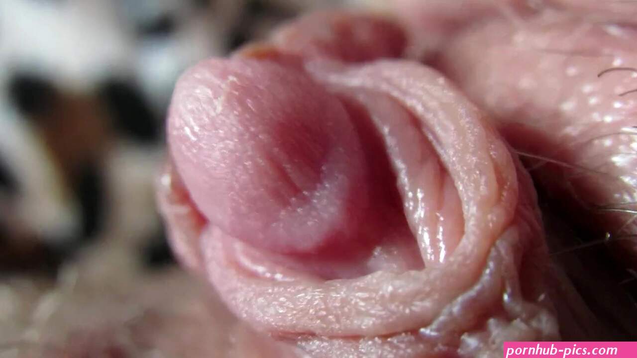 Pulsing Hard Clitoris in Extreme Close up