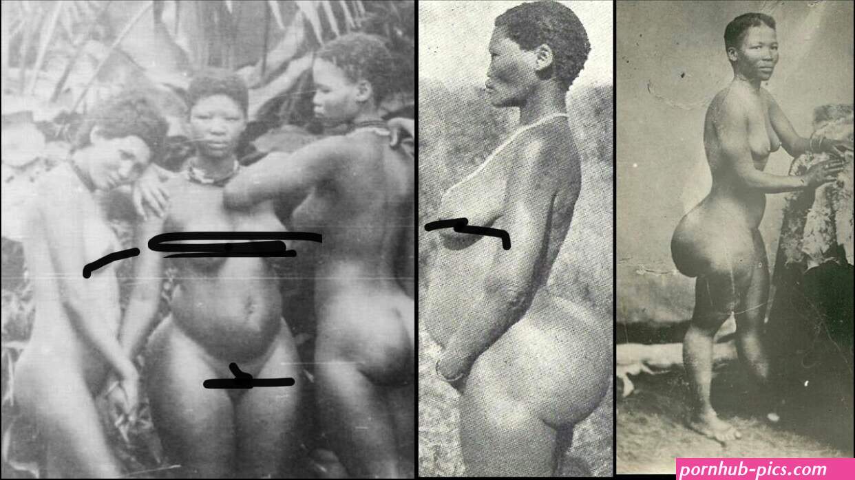 AFRICAN BLACK HISTORY on X: In colonial South Africa nude photos of khoikhoi women with steatopygia accumulation of large amounts of fat on the buttocks were collected by white colonialists.