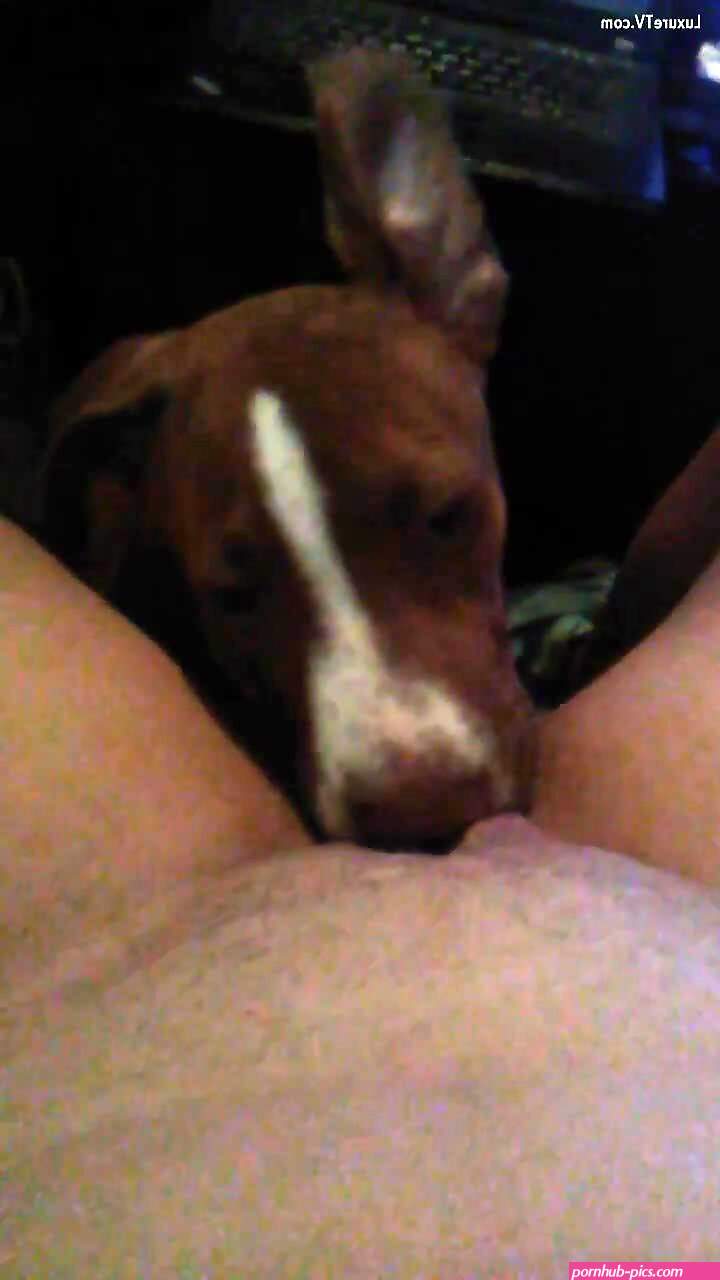 Puppy lick