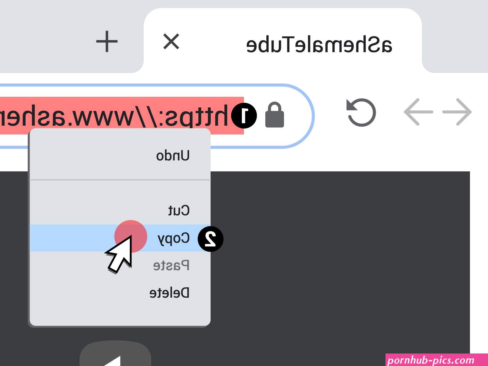 How to Download Videos from aShemaleTube