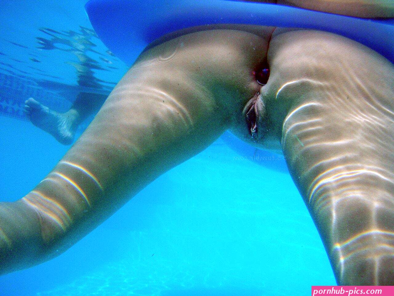 Dolphin porno