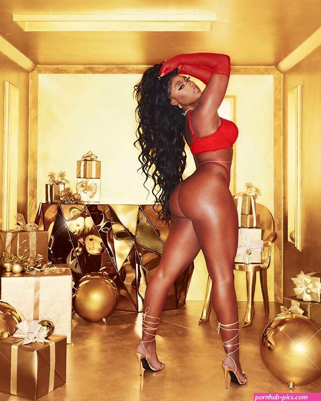MEGAN THEE STALLION 8 X 10 GLOSSY PHOTO REPRINT
