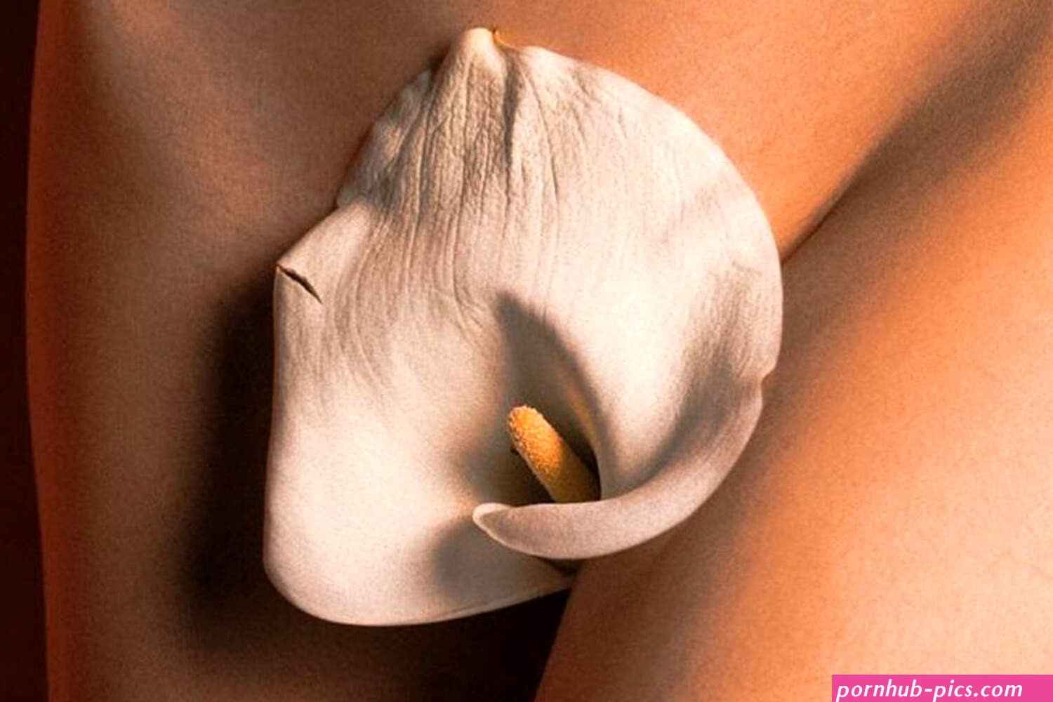 Are Vaginas Really Self-Cleaning?