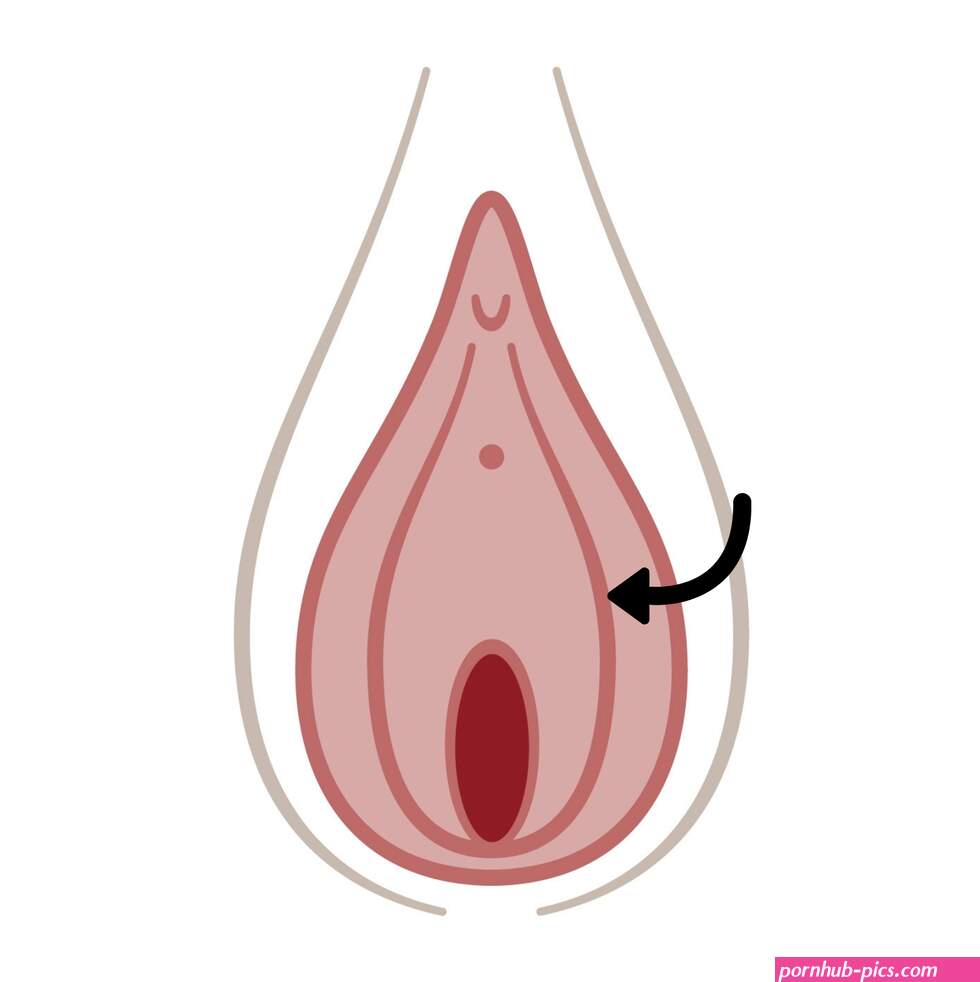 Vagina Parts