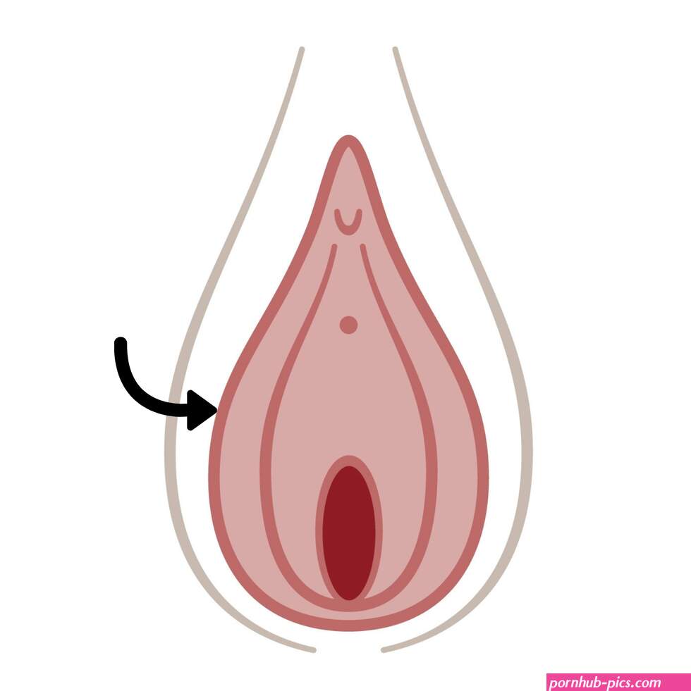 Vagina Parts