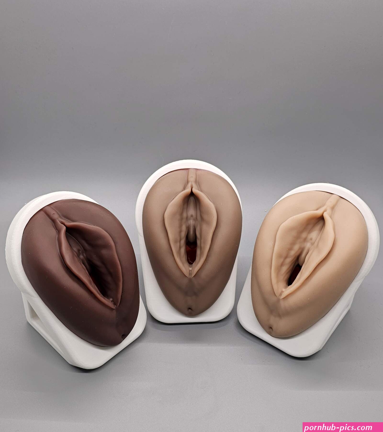 Venus Educational Pelvic Floor Model