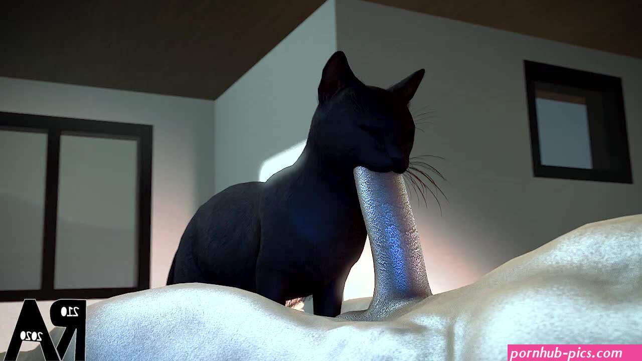 Rule 34