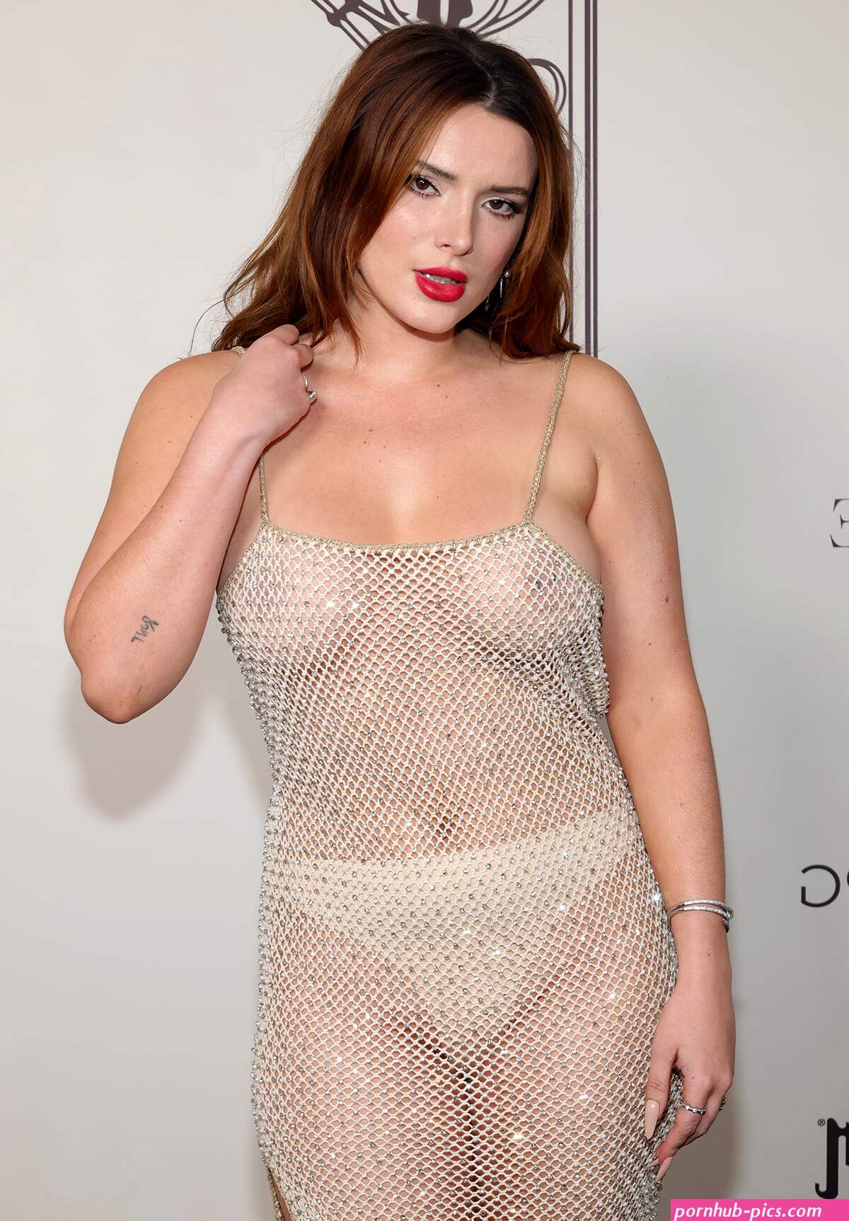 Bella Thornes Bold Fashion Statement at The Art of Elysium 2024 Gala: Braless in See-Through Mesh Gown