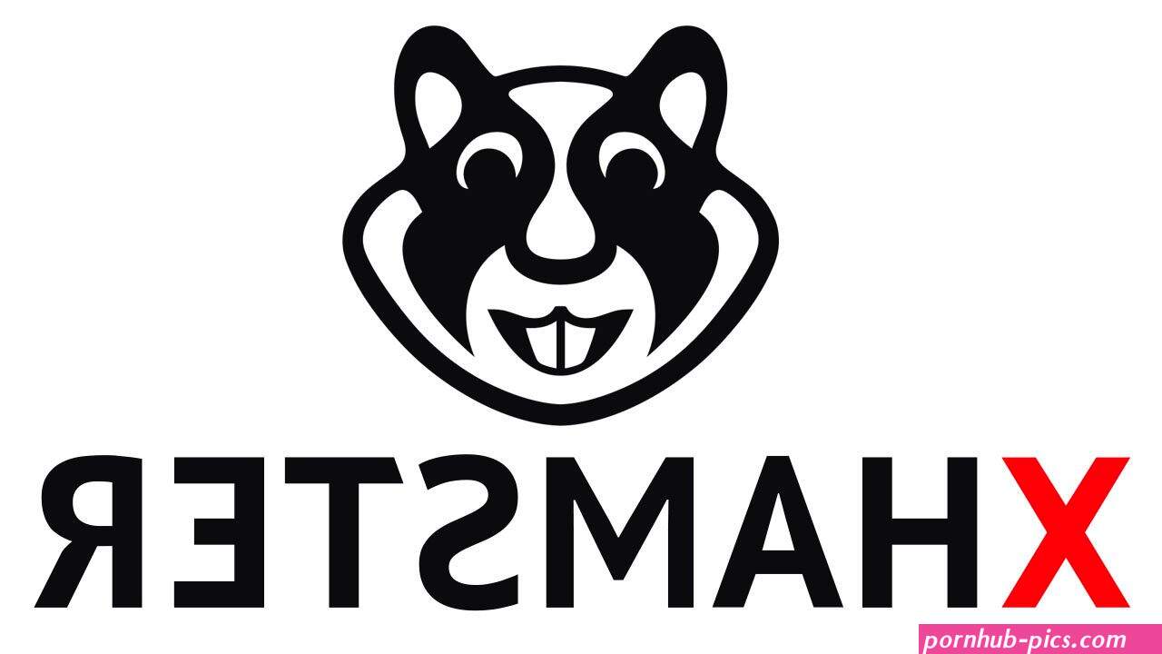 xHamster Creator Program Review