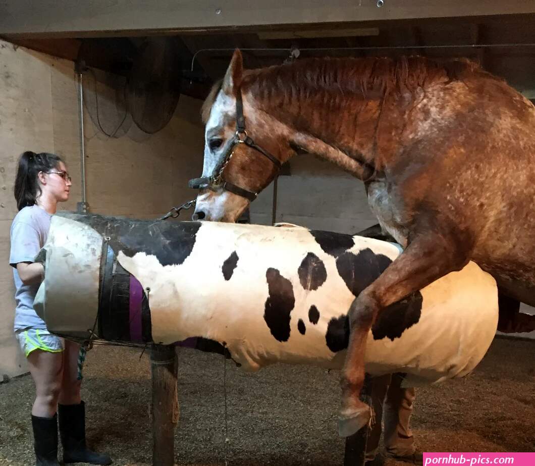 I Got Shot In The Eye With Horse Semen: A Day In The Life Of Breeding Season