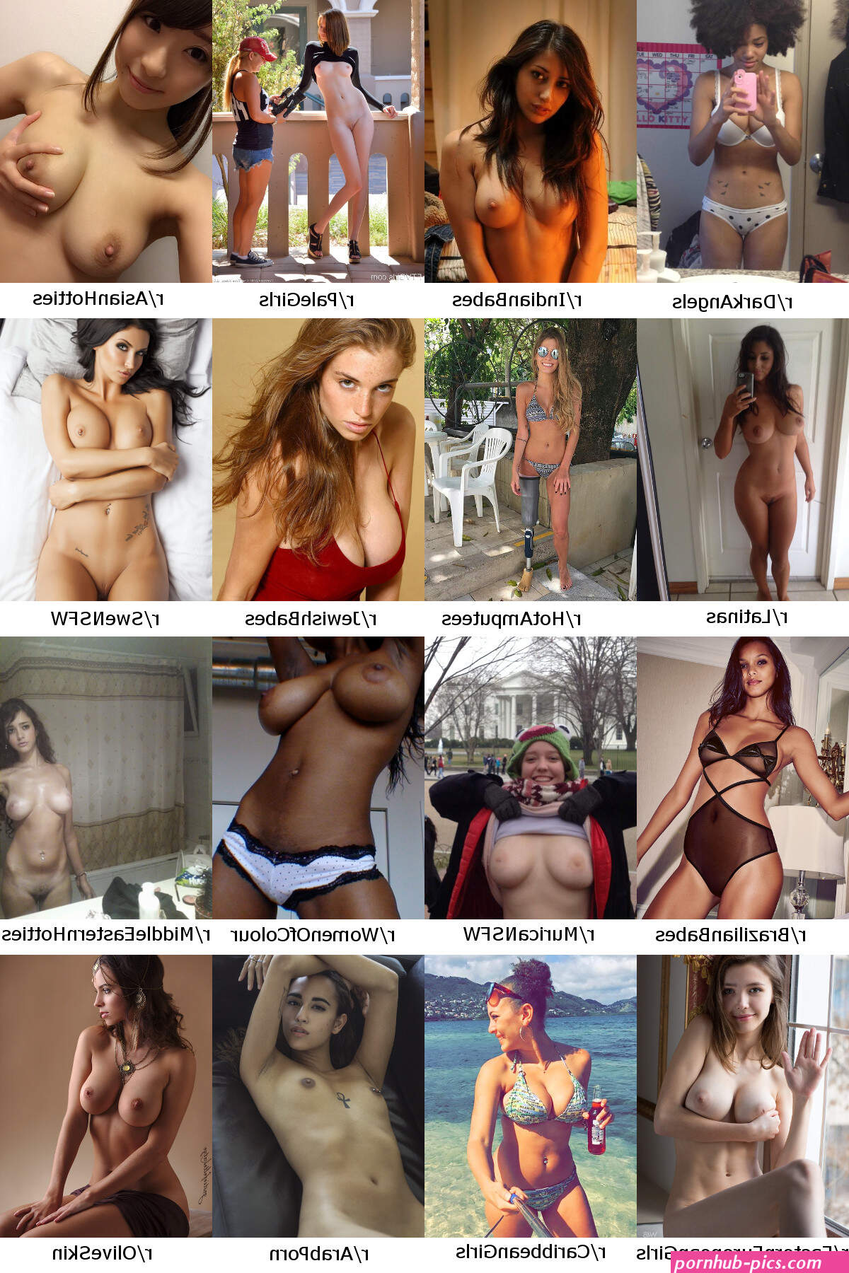 Reddits NSFW Diversity