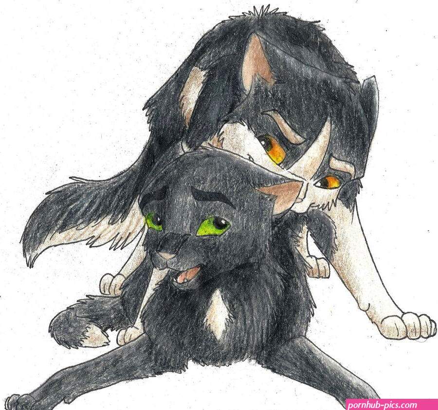 Post 660191: Barley Ravenpaw WarriorCats