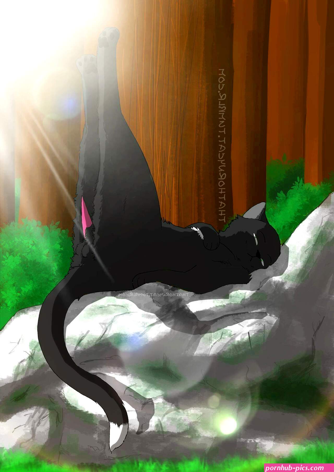 Post 2414018: Ravenpaw Thathornycat WarriorCats