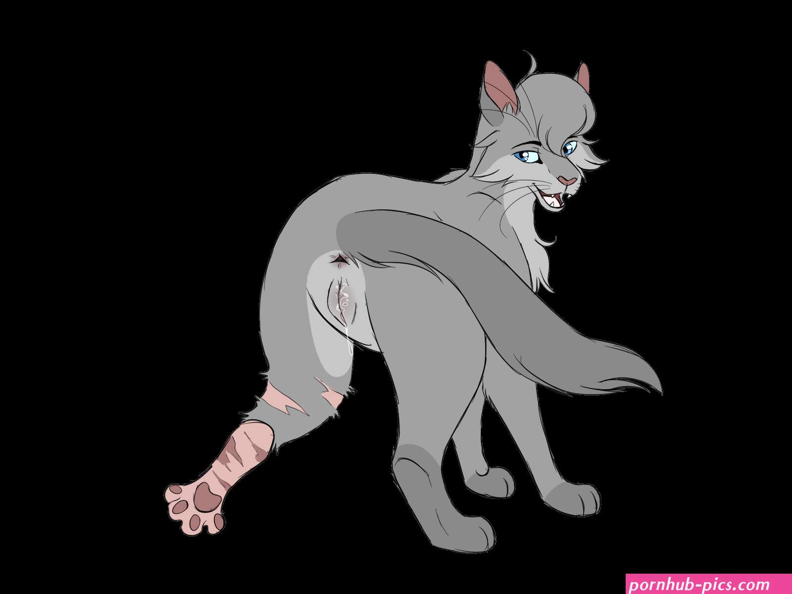 Post 4381317: Barkfur cinderpelt WarriorCats