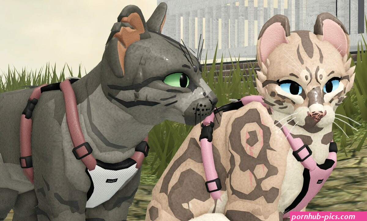 Warrior cats ultimate edition skins