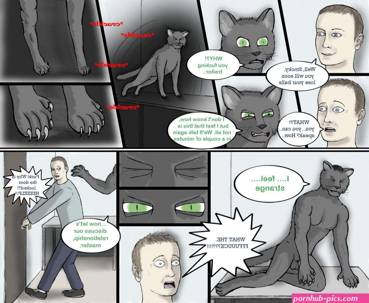 Problem Cat Porn Comic
