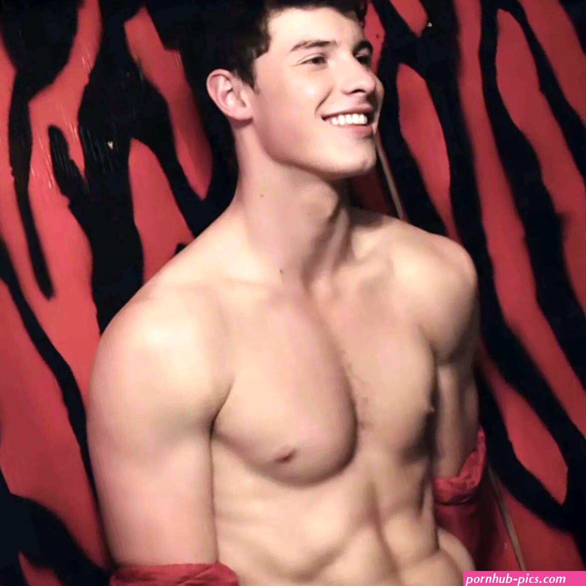Shawn Mendes celebrates Christmas by swimming in ice cold water