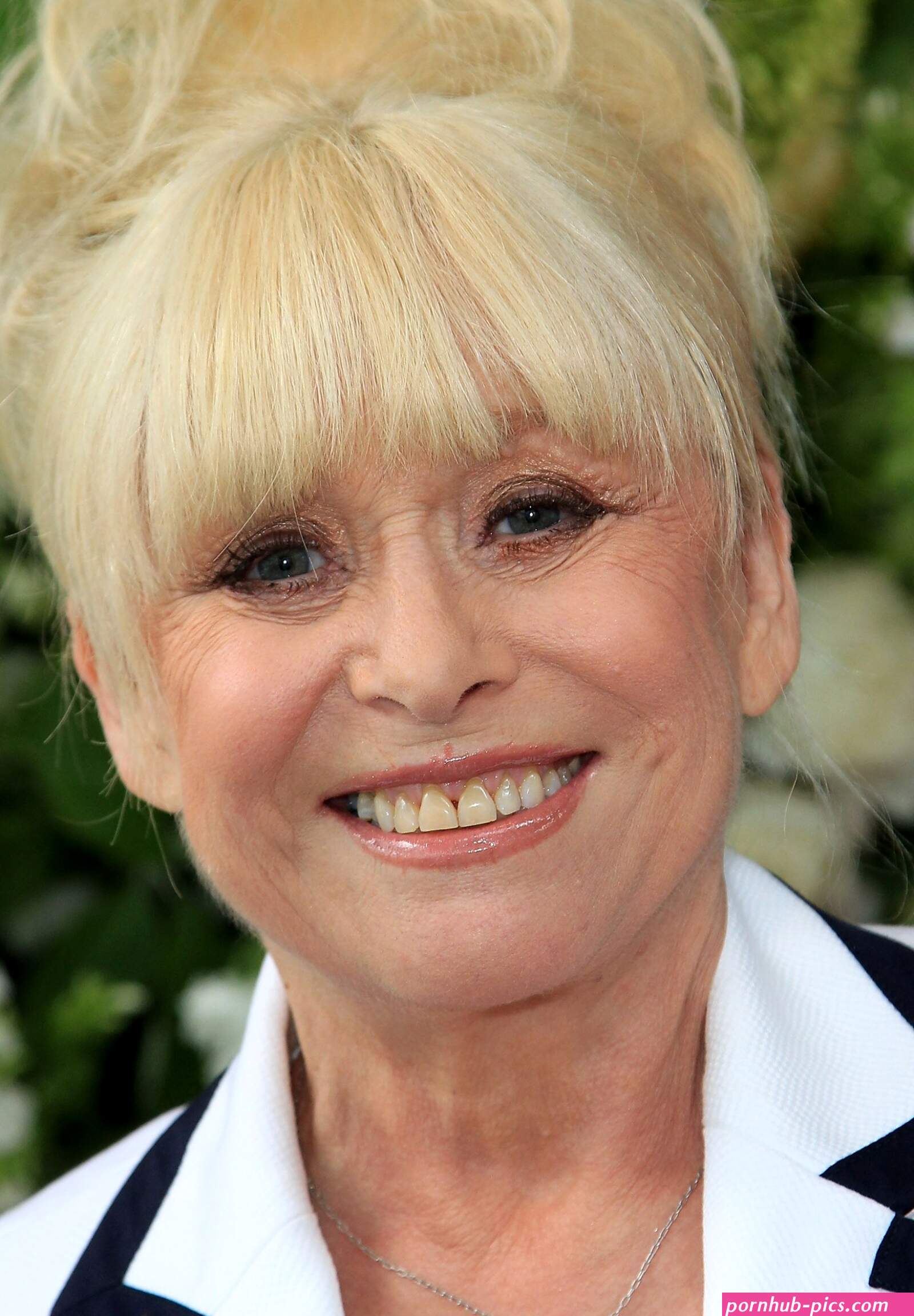 Barbara Windsor New Years Honours List 2016: Barbara Windsor Idris E4C