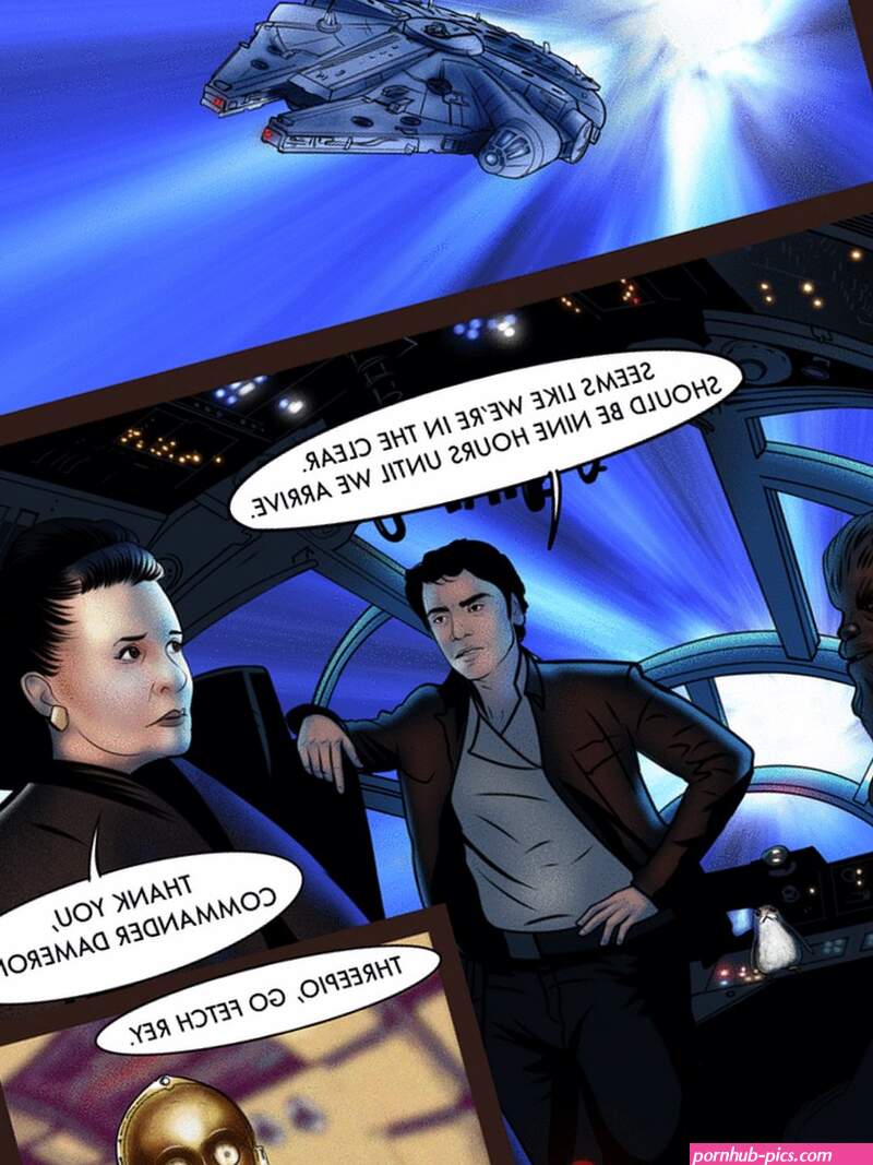 The Reunion- Sassafras Star Wars XXX Toons Porn