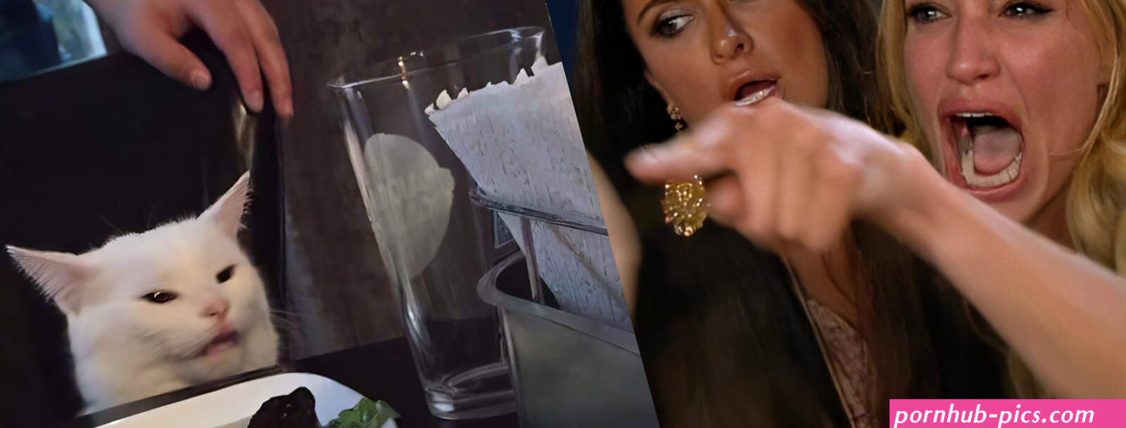 Woman Yelling at a Cat Template 3B Woman Yelling at a Cat Know Your Meme