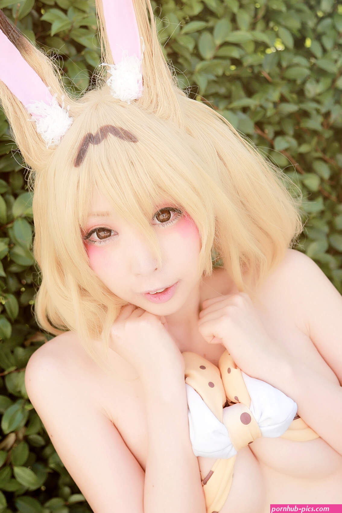 Kemono Friends