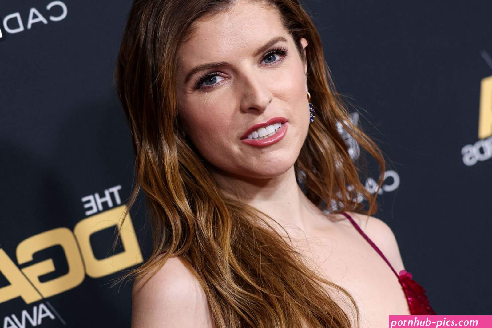 Anna Kendrick Looks Stunning at the 75th Directors Guild Of America Awards in Be