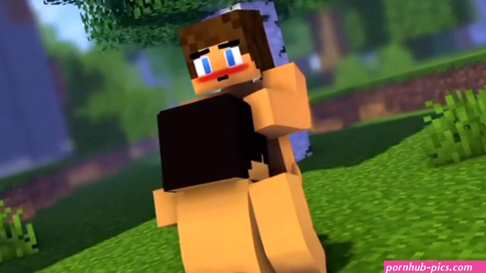 minecraft gay