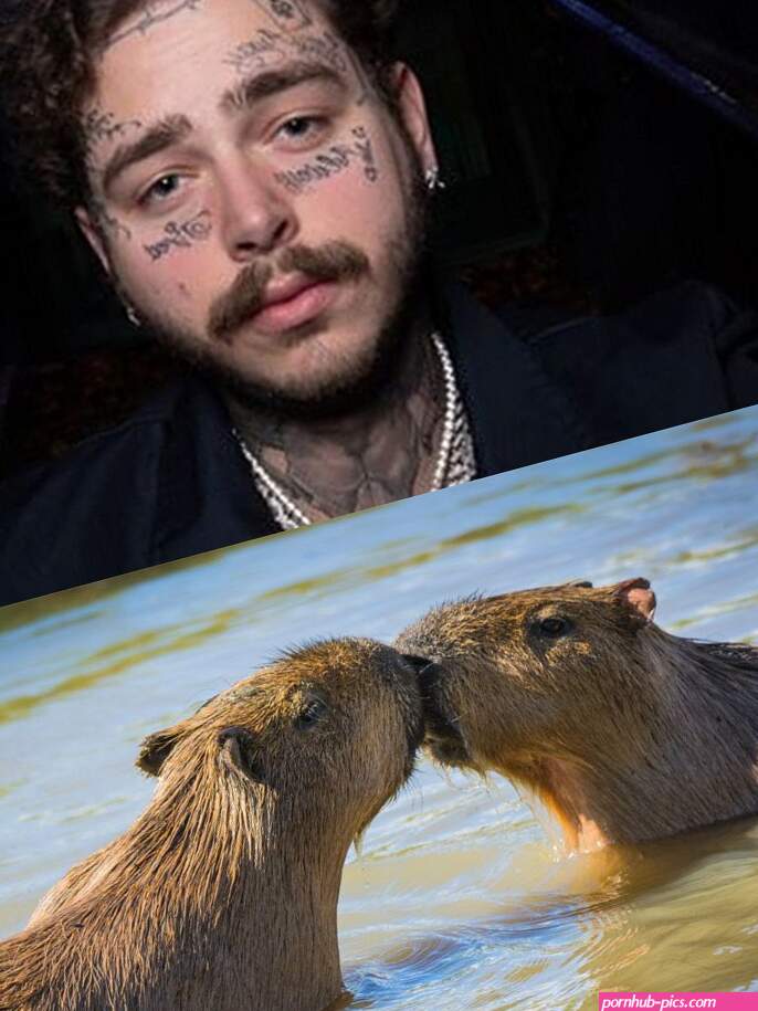 Post Malone Moustache